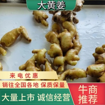 大黄姜生姜价格，山东生姜价格