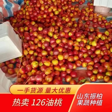 【实力货源】油桃126油桃产地直发保质保量代发全国