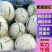 【优选货源】山东莘县蜜露甜瓜对接电商社区团购视频看货