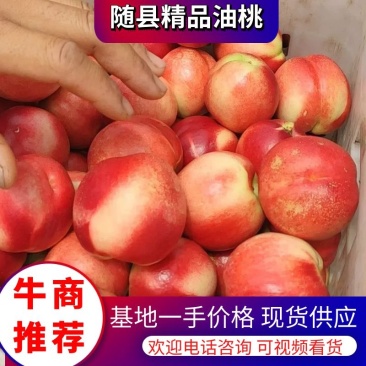 曙光，中油19.16.18.20.各种油桃，万亩基地直供