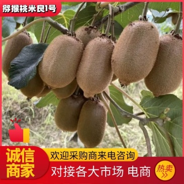 优质自然绿心猕猴桃米良1号，现采现摘，电商超市团购等