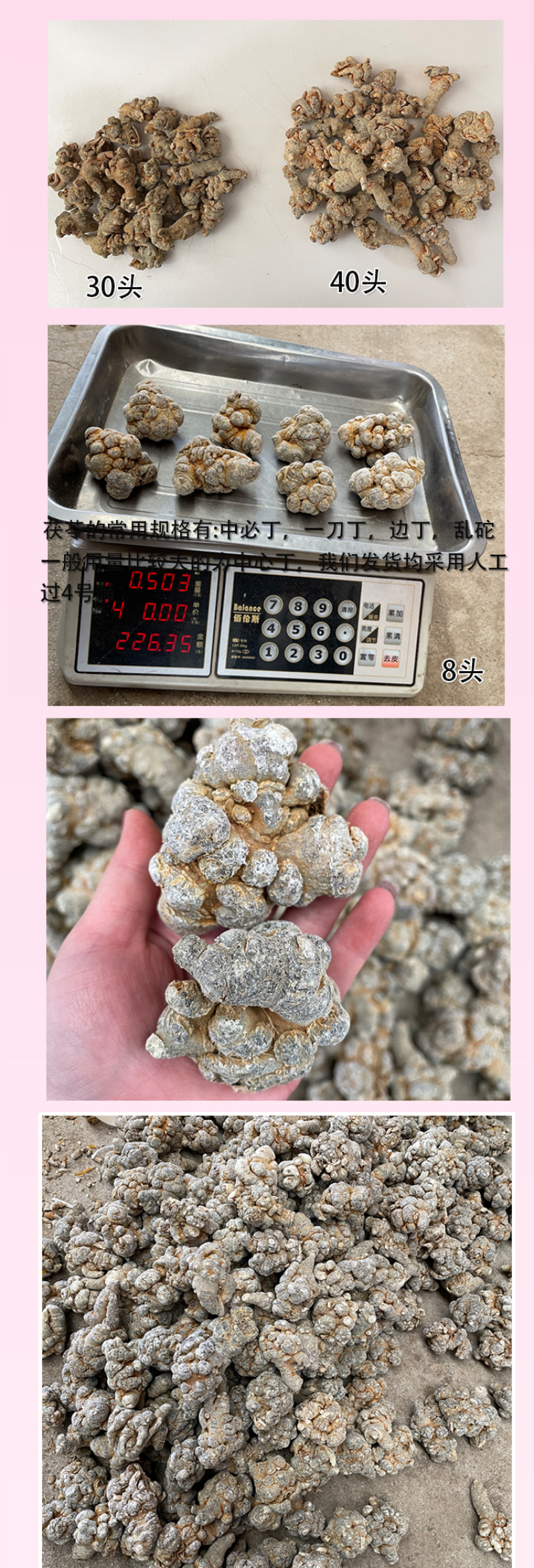 文山三七产地批发三七30头40头田七云南三七头可代打粉