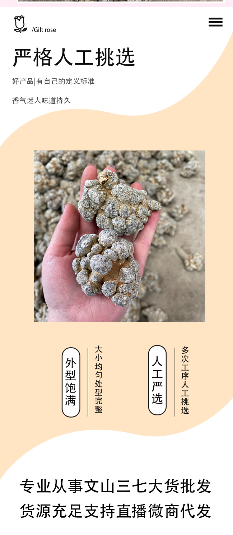 文山三七产地批发三七30头40头田七云南三七头可代打粉