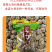 文山三七产地批发三七30头40头田七云南三七头可代打粉