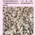 云南茯苓500g白茯苓土伏苓块批发一手货源白茯苓中心丁