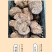 云南茯苓500g白茯苓土伏苓块批发一手货源白茯苓中心丁