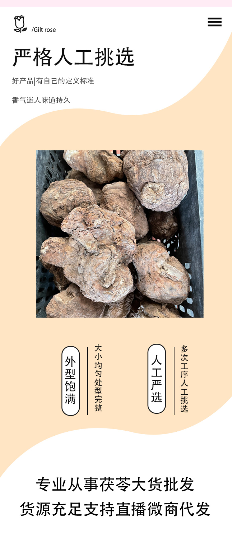 云南茯苓500g白茯苓土伏苓块批发一手货源白茯苓中心丁
