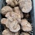 云南茯苓500g白茯苓土伏苓块批发一手货源白茯苓中心丁