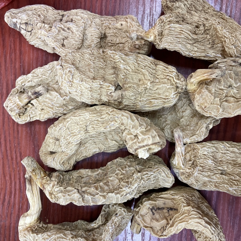 天麻干货云南昭通小草坝天麻春麻冬麻天麻片新货散装批发