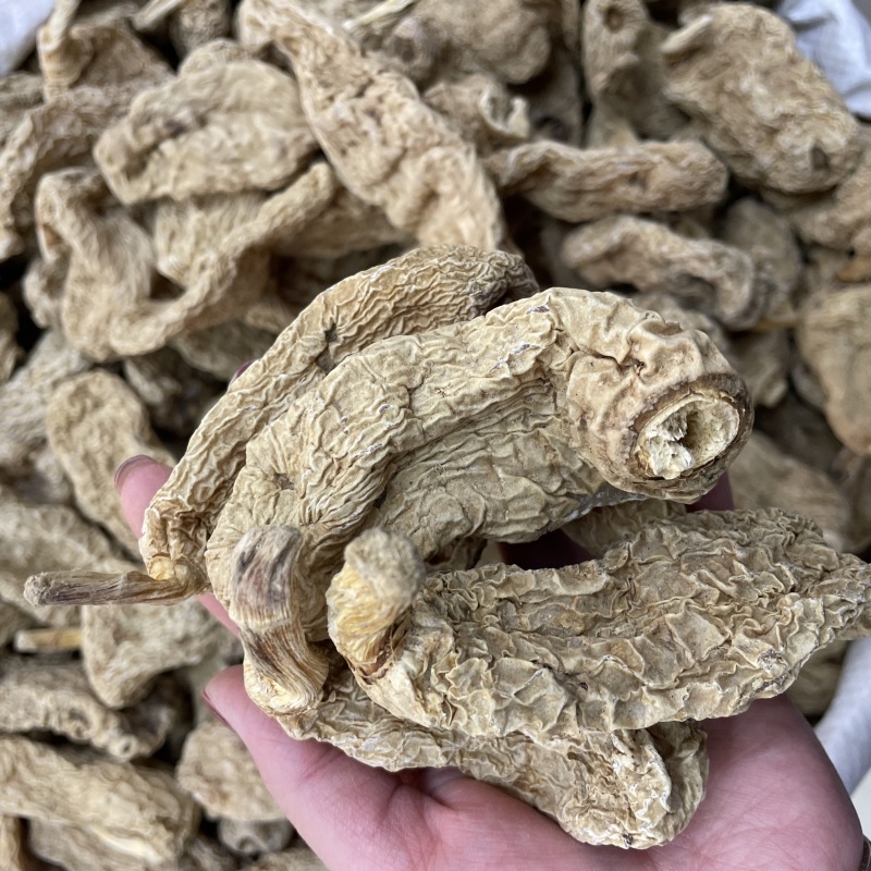 天麻干货云南昭通小草坝天麻春麻冬麻天麻片新货散装批发