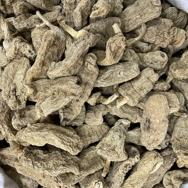 天麻干货云南昭通小草坝天麻春麻冬麻天麻片新货散装批发