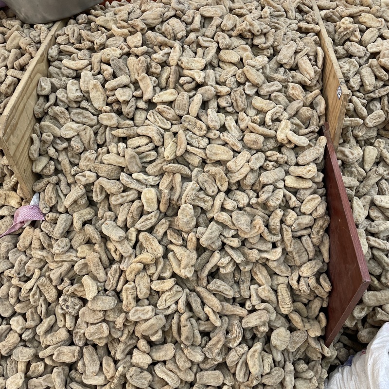 天麻干货云南昭通小草坝天麻春麻冬麻天麻片新货散装批发