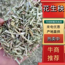 【牛商推荐】正阳花生秧草料长期供应全国发货量大从优