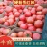 山东硬粉西红柿大量上市品质保证一手货源量大从优
