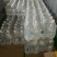 铂玛富锶天然低氘水矿泉水350ml*14瓶饮用水