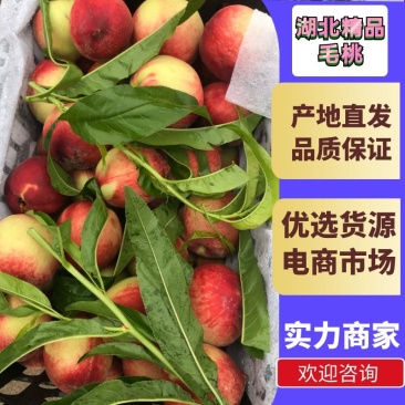 桃/春美毛桃/湖北毛桃/小桃红/宜城毛桃/全国发货