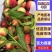 桃/春美毛桃/湖北毛桃/小桃红/宜城毛桃/全国发货