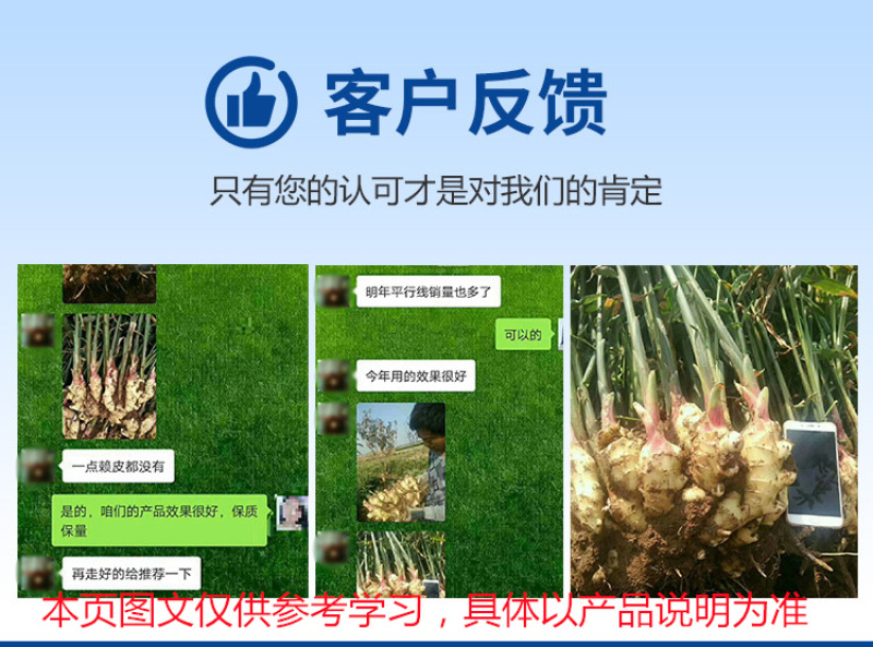 淡紫孢菌杀根结线虫西瓜黄瓜番茄西红柿根结线虫地下害虫