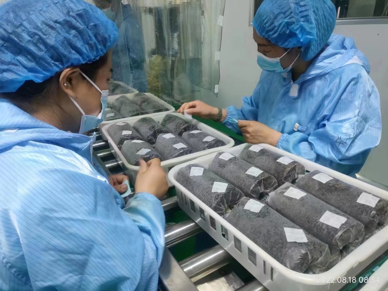 金耳菌包源头厂家，现货供应