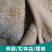 包邮五香熟牛肚整箱批发商用源头厂货熟食半成品烹饪食用