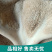 包邮五香熟牛肚整箱批发商用源头厂货熟食半成品烹饪食用