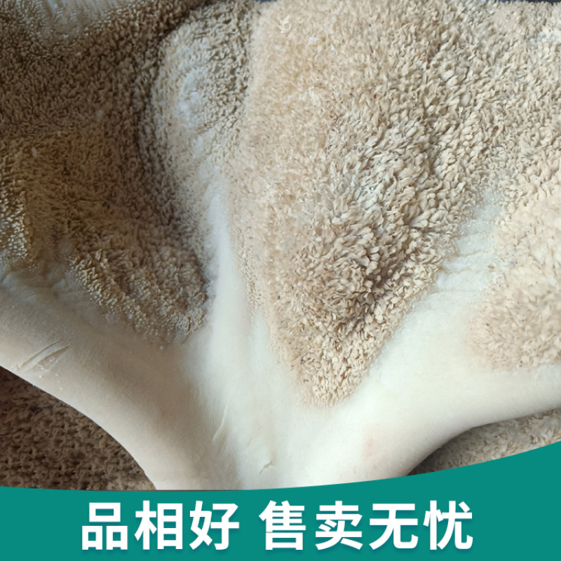 包邮五香熟牛肚整箱批发商用源头厂货熟食半成品烹饪食用