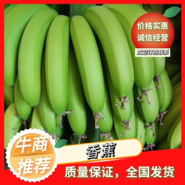 精品香蕉，软糯香甜，产地直供，一手货源，品质保证量大价优