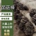 陕西单口出菇菌棒一手货源基地直发品质保障全国发货