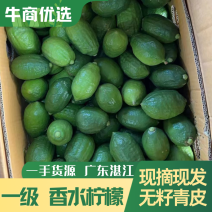 湛江香水柠檬，零售，批发，一级好果，现摘现发