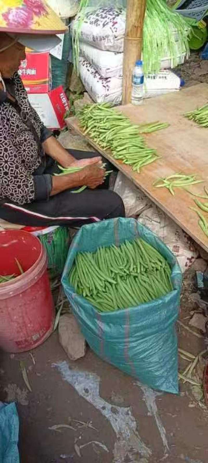 云南四季豆产地直供大量有货支持视频看货欢迎老板们电话咨询