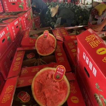 【精品上市中】河南西瓜美都西瓜甘甜可口皮薄肉多