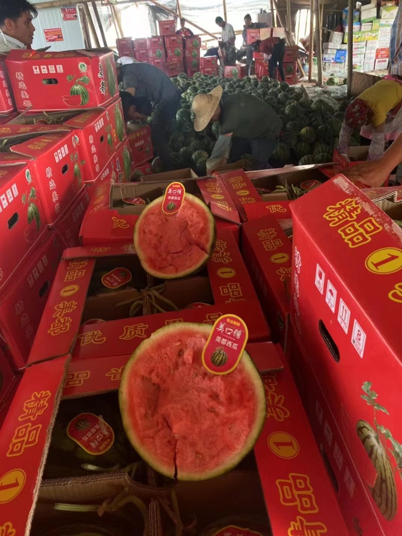 【精品上市中】河南西瓜美都西瓜甘甜可口皮薄肉多