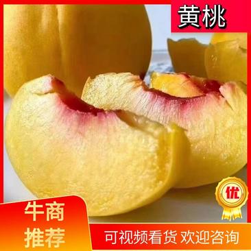 【推荐】锦绣黄桃黄中黄黄桃成熟期已到产地一手货源供应