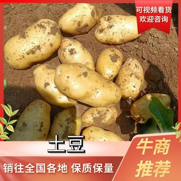 【实力推荐】土豆产地直发货源充足保质保量量大从优