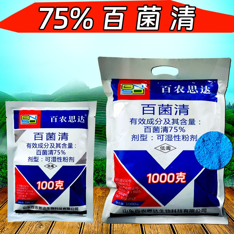 75%百菌清杀菌剂蓝粉霜霉病真菌病农药杀菌农用100克