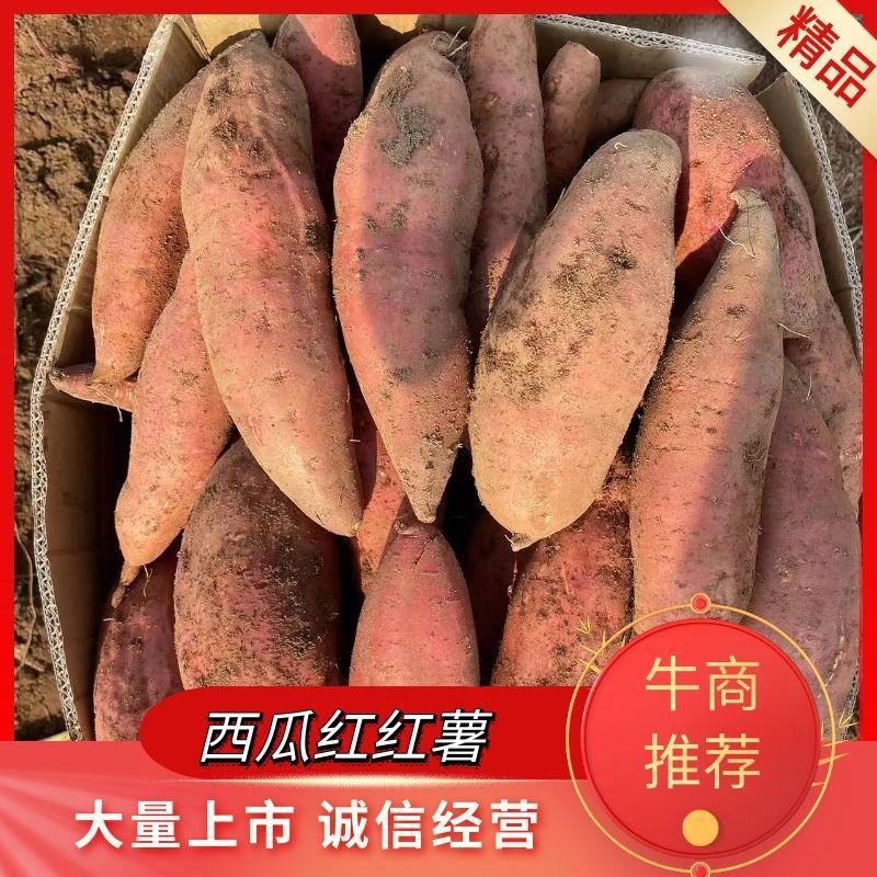 【热卖中】西瓜红红薯精选品质价格不贵实力供应市场商超