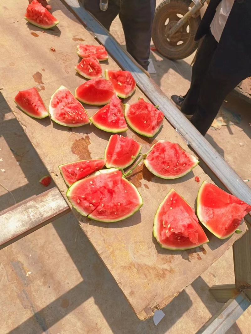云南精品麒麟美都西瓜大量上市可视频看货