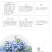 蓝雪花柱