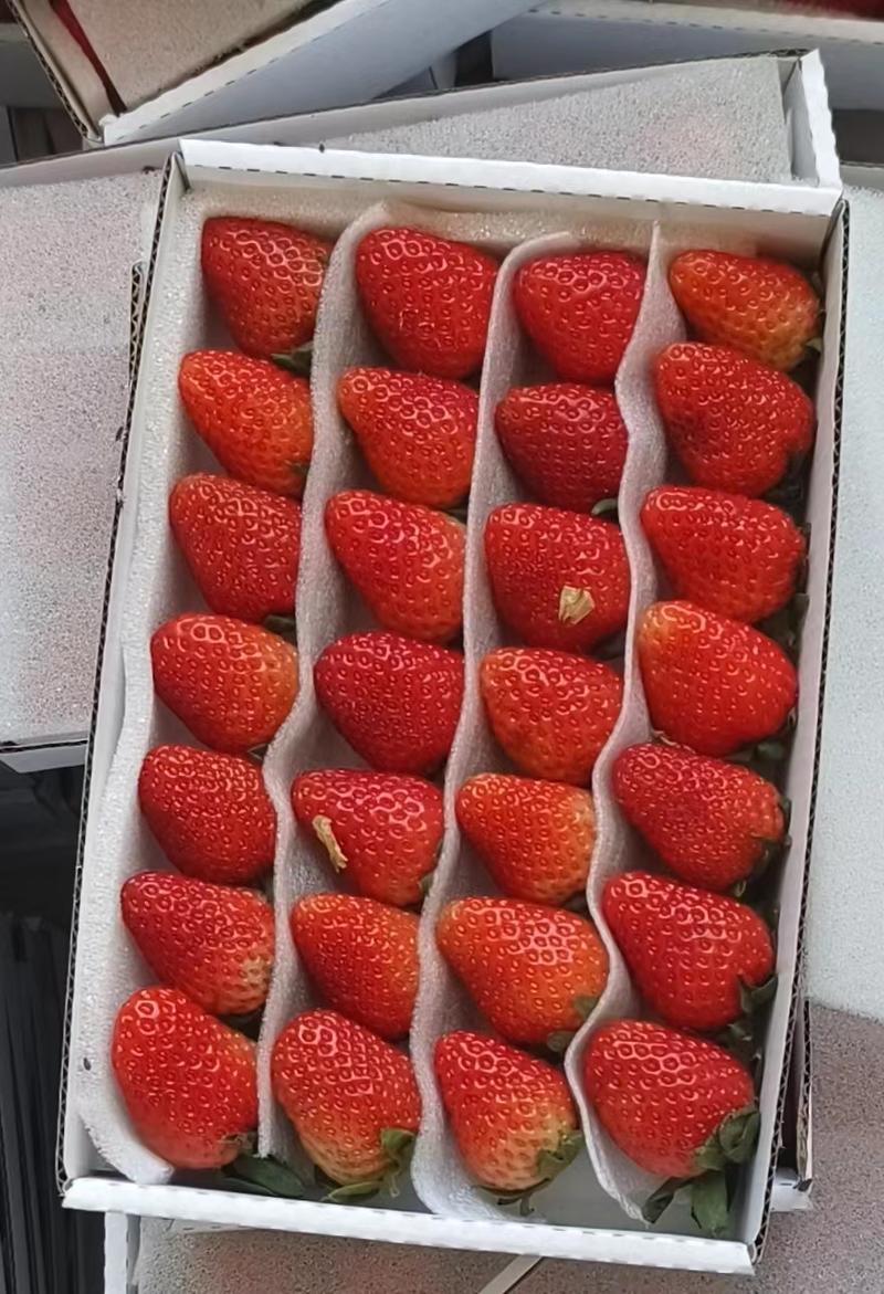 【草莓】云南蒙特瑞草莓常年供应品质保证对接全国市场