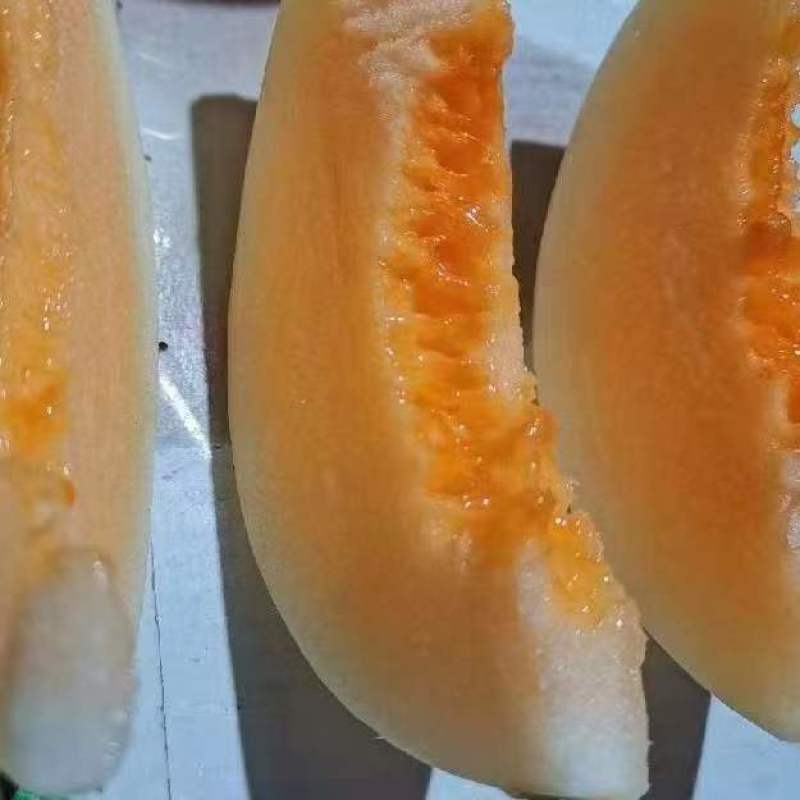【牛商推荐】上蔡甜红玉，大量批发，随时走车一手货源