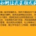 新采软枣树种子君迁子花籽多年生嫁接柿子国产砧木野柿子花卉