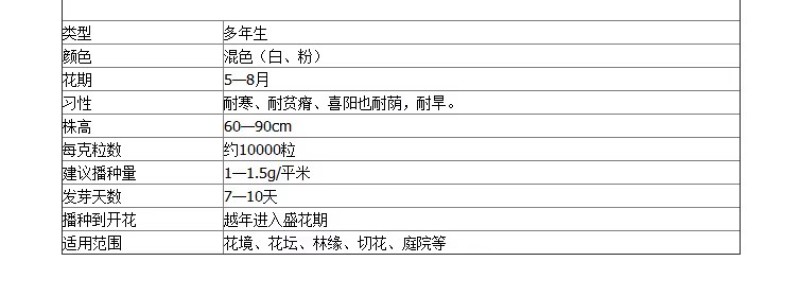 新采软枣树种子君迁子花籽多年生嫁接柿子国产砧木野柿子花卉