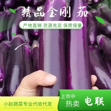 精品红金刚大量有货需要收购的老板可以下单了