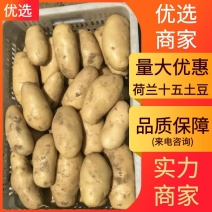 荷兰十五土豆陆地土豆黄皮黄心精品大量上市