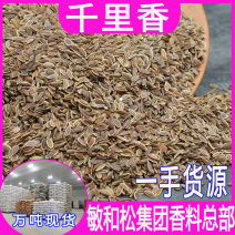 批发千里香香料调料火锅底料莳萝籽九里香百里香千里香