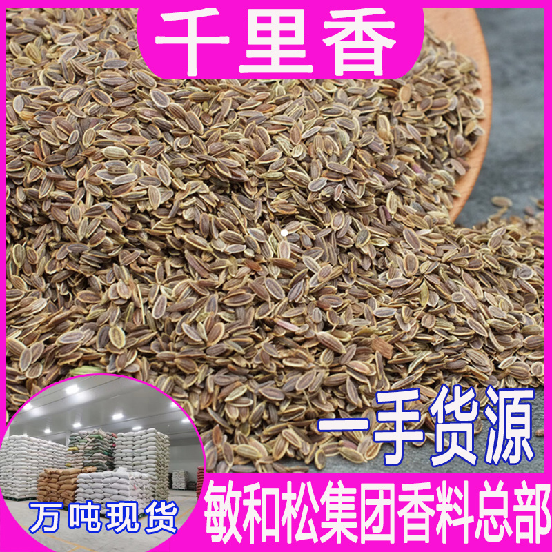 批发千里香香料调料火锅底料莳萝籽九里香百里香千里香