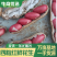 四粒红鲜花生，精品带壳花生，手摘果，一手货源