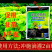枯草芽孢杆菌400亿农用微生物菌剂防病生根抗重茬提肥效