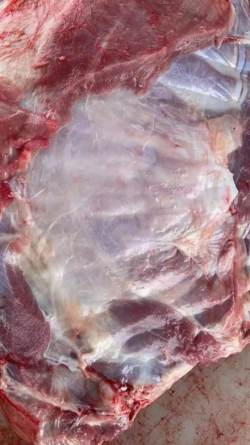 黄牛排农家散养土黄牛肉多，纯干黄牛排欢迎电联