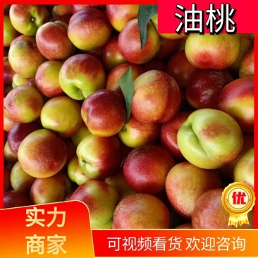 油桃，湖北油桃，金蕾油桃，千年红油桃，中油油桃，曙光油桃
